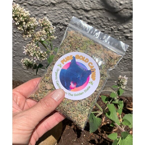 PURE GOLD Catnip Organically Grown & Harvested Pure Californian Catnip 4"x 3" - Picture 16 of 16